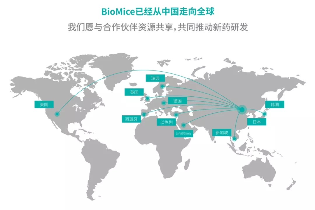 百奥赛图动物